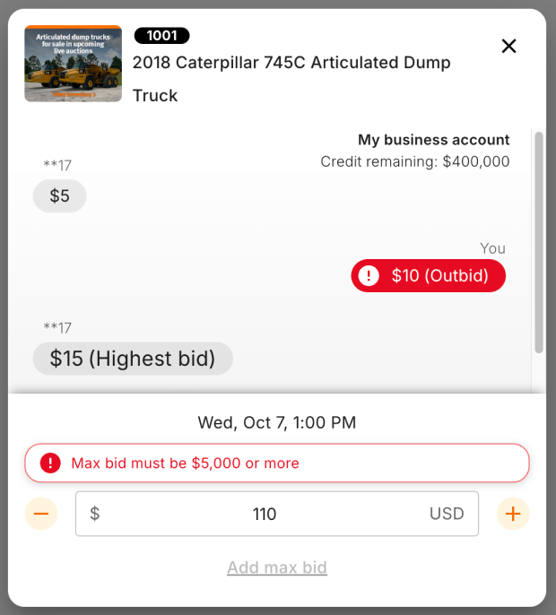 Error message sitting directly above the bid amount box